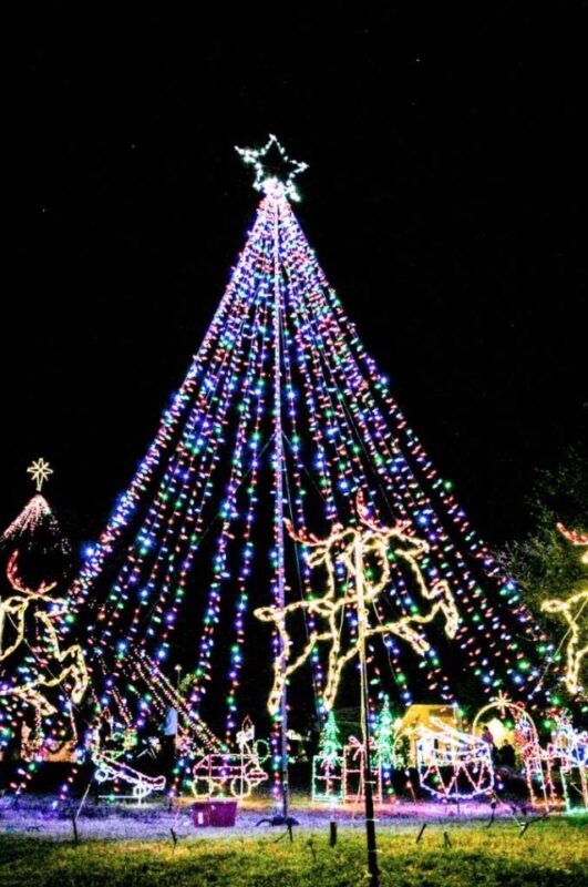 Lakeway Tree of Lights 2021
