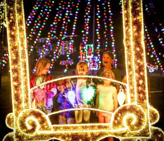 Lakeway Tree of Lights 2021
