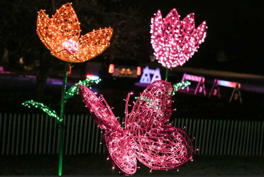 Lakeway Tree of Lights 2021