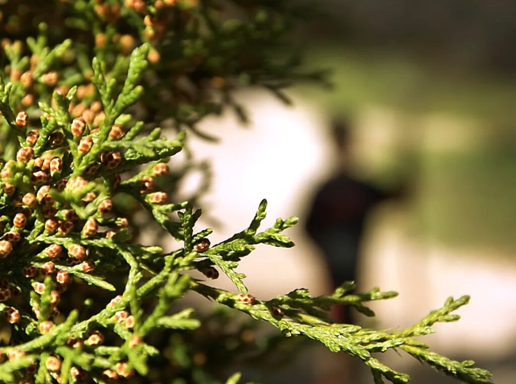 professional-photographer-round-rock-texas
